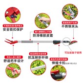 高空伸缩采果剪摘果器摘柿子荔枝龙眼枇杷工具高枝