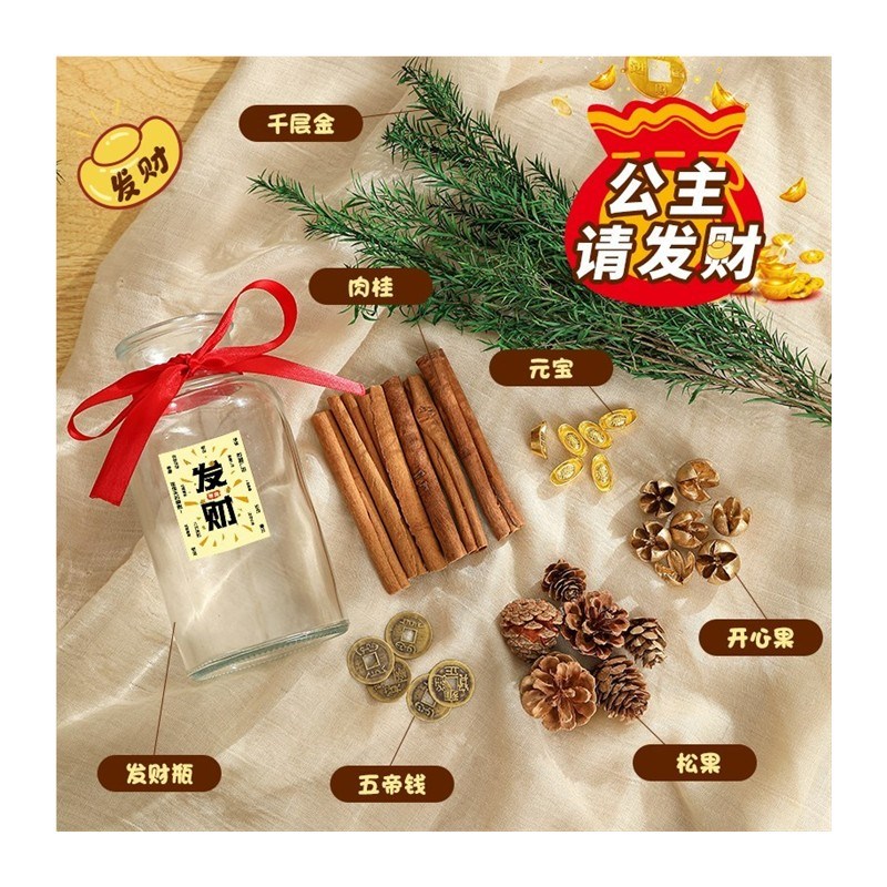 肉桂生财瓶2025新年装饰客厅玄关招财摆件玻璃瓶花瓶蛇年春节氛围
