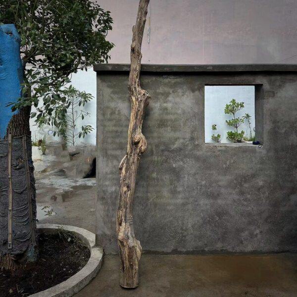 树结吧结巴老木头枯木枝朽木侘寂风老物件木头装饰原木柱子