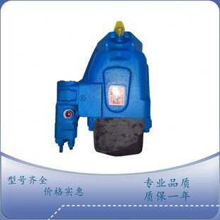 美国伊顿ETN威格士柱塞泵421AK01062B120131RC1006 421AK01864B