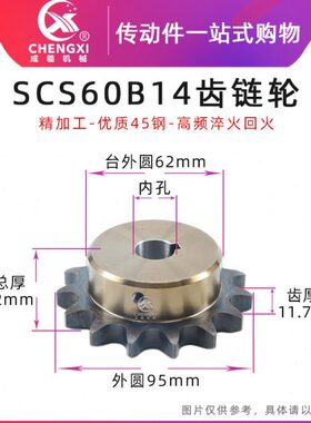 SCS高品质成型孔链轮6分 60B14齿 12A14T外径95精车内孔键槽顶丝