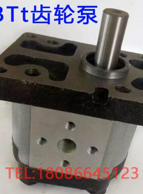 CBTt-F308F3P7 CBTt-F310F3P7 CBTt-F304F3P7 CBTt-F306 齿轮泵