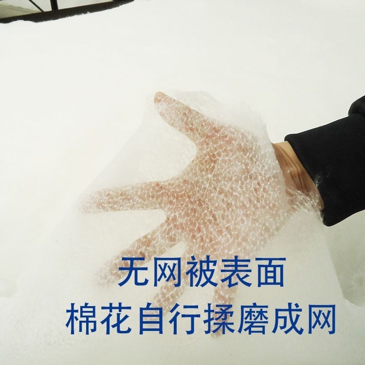 无网棉胎垫被新疆花被芯春秋冬被夏凉被棉絮单人双人可水洗