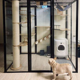 猫别墅大型舍 j猫别墅猫自由空间猫豪华猫咪超大笼室内实木柜笼子