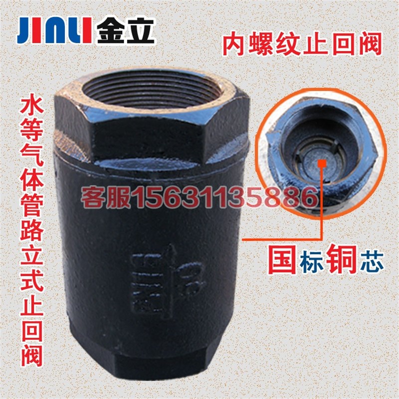 H12T-16丝扣立式止回阀 铸u铁水管单向阀DN20 25 40 50 6分 1寸