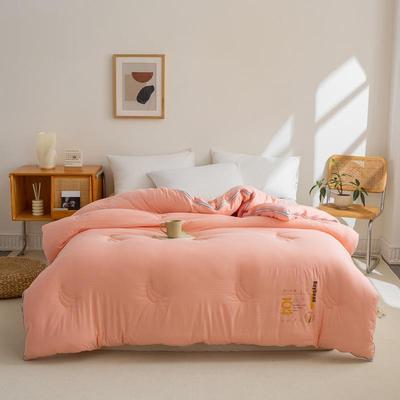 A类母婴级云棉大棉豆纤维二合一拉链368款子母春秋被加厚被冬柔被