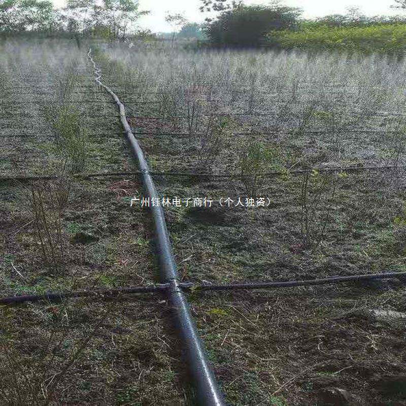 用微喷带SUR喷水水带灌滴带农雾化灌溉微喷喷灌滴灌设备自动浇水