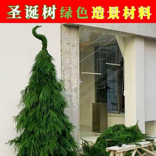诞树骨架框架实木子diy圣诞装10065194饰商场圣户外广场布景天架