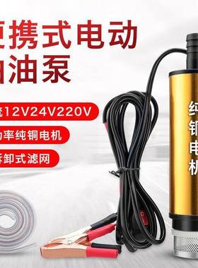 电动抽油泵2V直流吸柴油加油机24v潜水泵油1抽0子加油枪22152v自