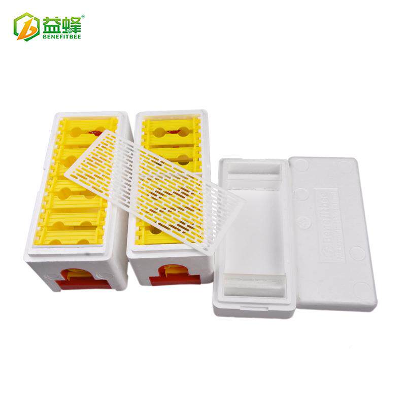 多益蜂新款泡VPW沫蜂箱蜂交粉王培育育王箱迷你型蜂王尾箱授箱