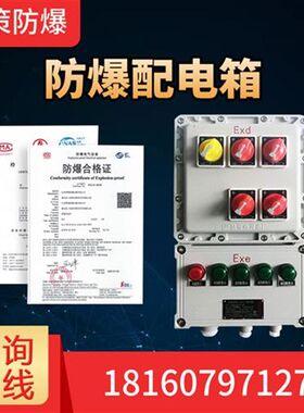 防爆配电箱控制箱操作o箱断路器操作柱磁力启动器插座箱检修箱柜