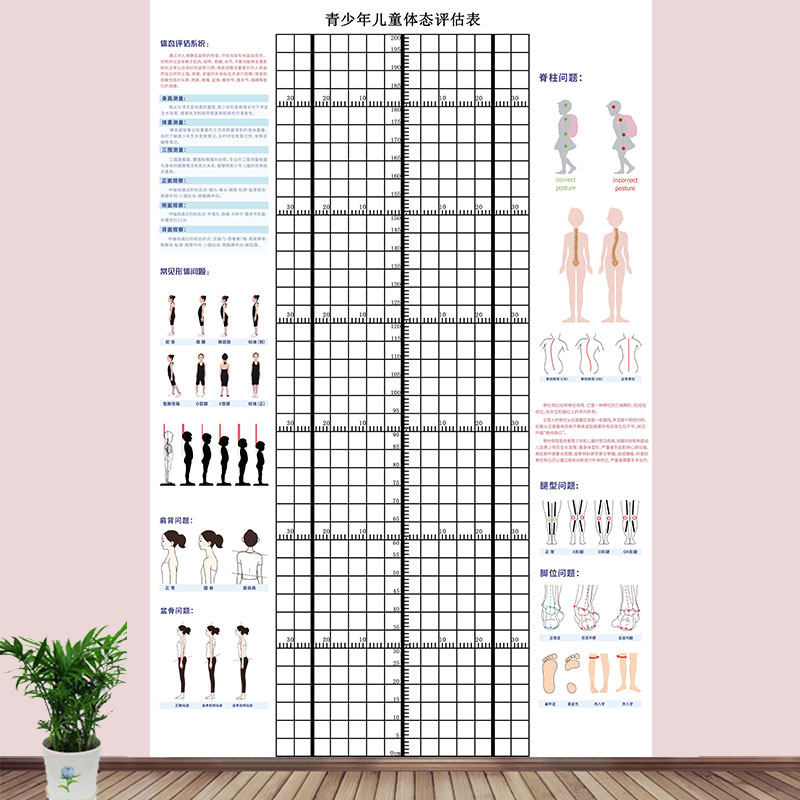 儿童体态身高评估表站姿体测网格背景墙纸幼小中青少年体测评估图