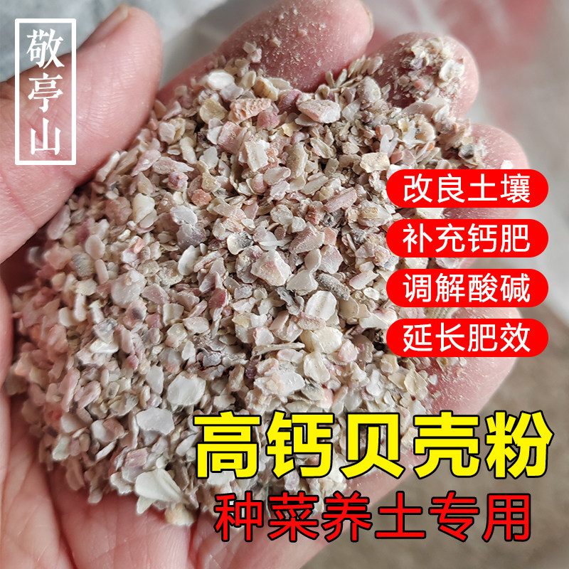 贝壳粉种菜养土改良土壤补充钙肥