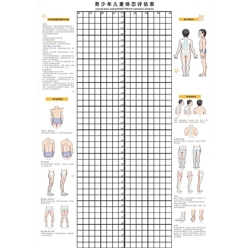 人体姿势体态评估表成人儿童身体评估图墙贴青少年模特培训体测表