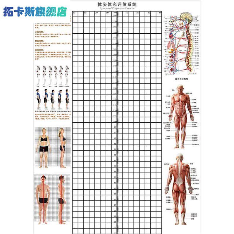 身体评估墙图体姿体态评估表壁纸瑜伽健身私教姿势分析体测表挂式