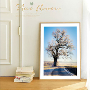 入户门装饰画玄关挂画卧室床头客厅壁画现代简约风景单幅餐厅墙画