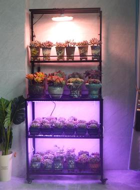 W室内式阳台7盆YJJ-HJ01多肉花架可挂补光灯多层日块根植物架栽花