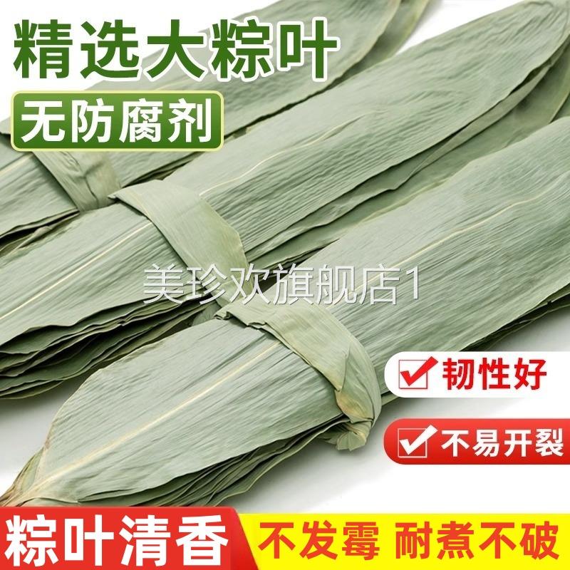 粽叶干大号粽子叶包粽子的叶子芦苇专用老式棕叶新鲜竹叶特大