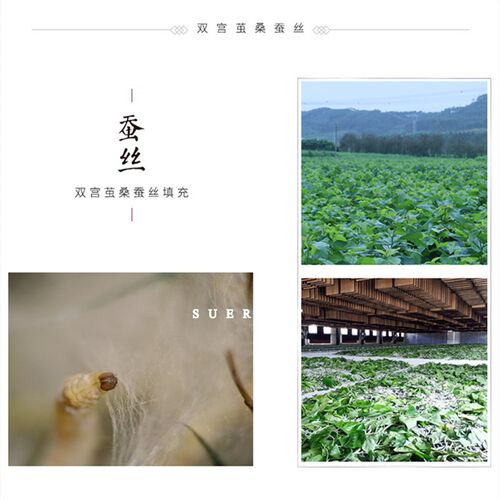 带子母扣手工蚕丝被 JC40喷气全棉提花被芯 双宫桑蚕丝被子春夏