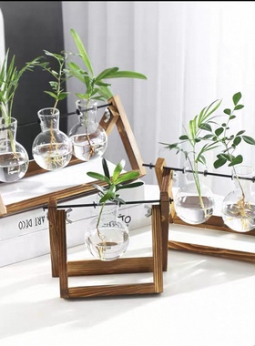 创意烧杯水培木架容器绿萝植物玻璃花瓶办公室桌面摆件插花瓶装饰