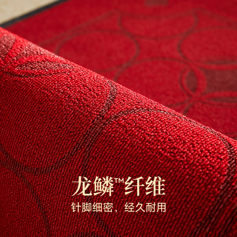 喜室地垫高端家用进门脚垫豪宅大门口耐脏除尘入户门口防滑脚踏垫