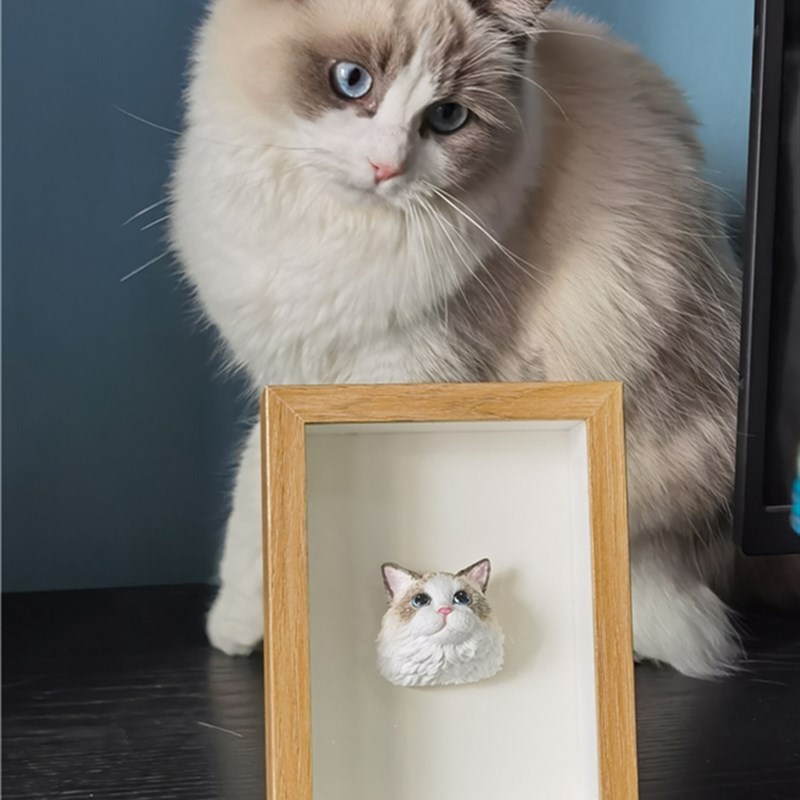 宠物猫咪定制室内家居相框摆件布偶英短美短加菲手绘宠物纪念饰品