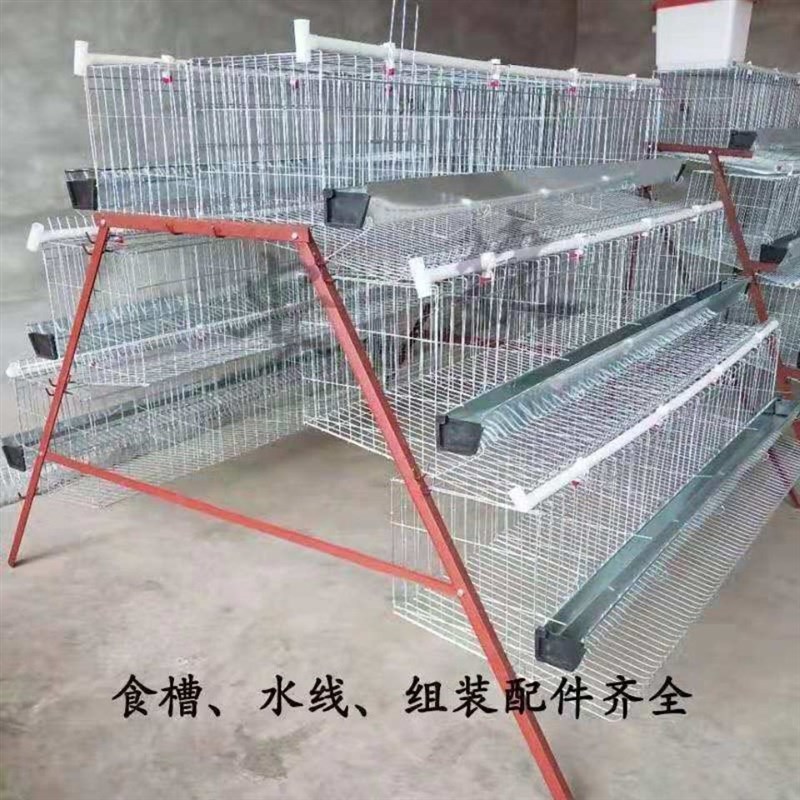 加粗蛋鸡养殖笼三层四层阶梯式鸡笼家用4位镀锌鸡笼养殖场用鸡笼