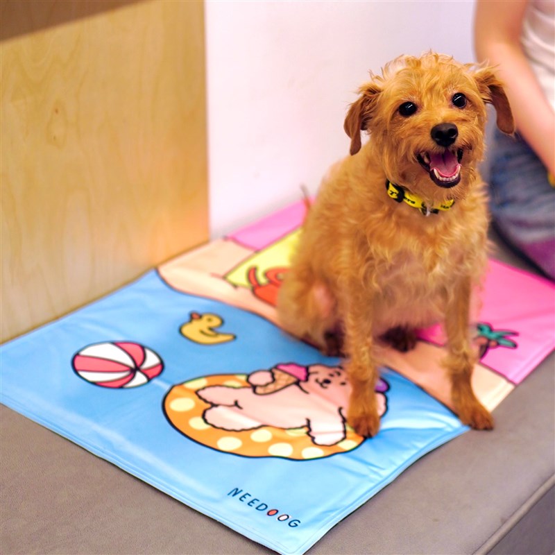 宠物坐垫办公室宿舍冰垫夏天睡垫狗狗猫咪冰窝夏季降温凉垫冰垫