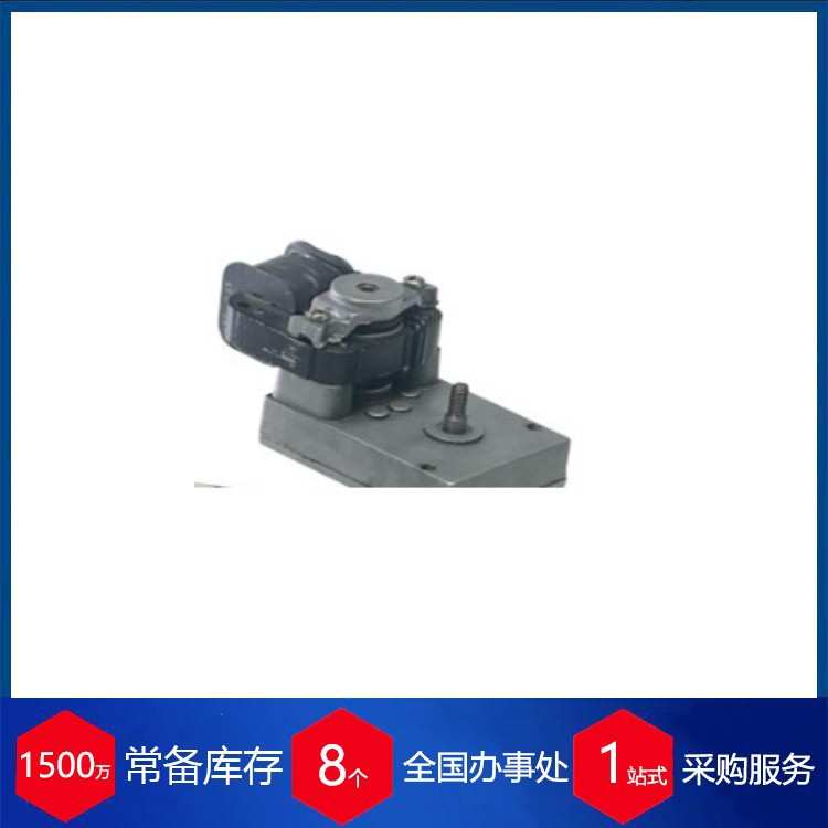 供应意大利AUTOM齿轮直流电机EP35