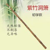 萧乐器初学入门短萧零基础萧古萧长萧紫竹箫古风洞箫八孔g调f调