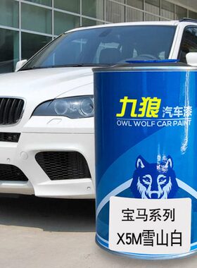 九狼汽车成品色漆宝油漆马x4x5改色漆冰河银碳黑色雪山白雪山白色