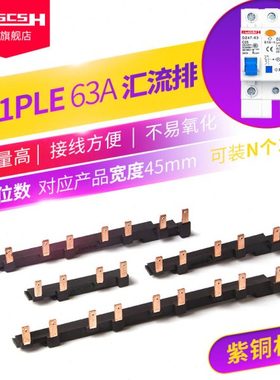 DZ47LE漏电保护器1P+N空气开关紫铜汇流排断路器空开间距45mm63A