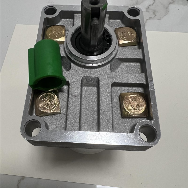 隆达液压CBN-E316 304 306 310 314L 320 325液压齿轮油泵