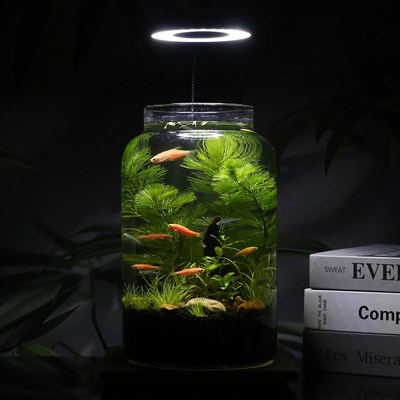 生态鱼缸微景观玻璃鱼缸办公桌面生态瓶免换水diy材料作业自循环