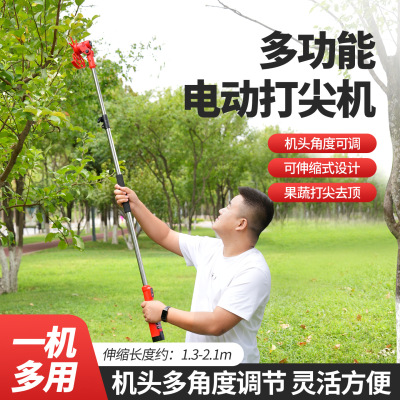 中村一郎电动打尖机果树葡萄修枝机辣椒蔬菜打头机家用锂电打枝机