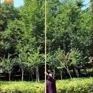 武术棍白蜡杆大枪杆少林棍太极大杆长4米 棍子长棍武术器械蜡木杆