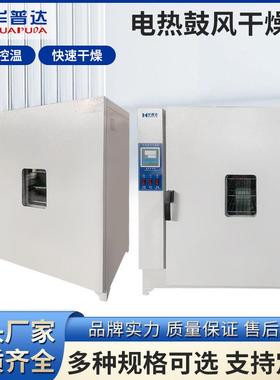 101-4B电热鼓风干燥箱实验室小型恒温烘箱鼓风箱老化试验箱