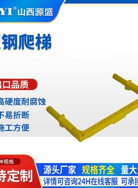 山西源盛塑钢双爬梯PP踏梯井室聚丙烯塑钢踏梯井盖打孔包塑踏梯