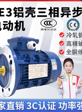 源头工厂YE3/YS铝壳三相异步电动机2极2800转380V0.37/0.75/1.5W