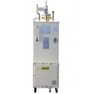 电热式气化器 50kg壁挂器炉 液化石油气器直销其他节能设备