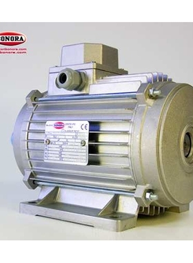 供应意大利BONORA电机  IE2电机 IE3电机