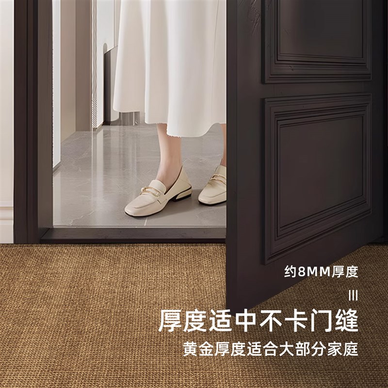 高级感纯色入户门地垫2025新款玄关耐脏防滑可裁剪脚垫进门口地毯