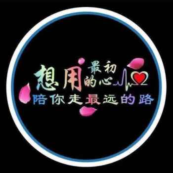 厂地灯汽车迎宾灯车门投影v灯开门感应车内装饰用品车载氛围照新