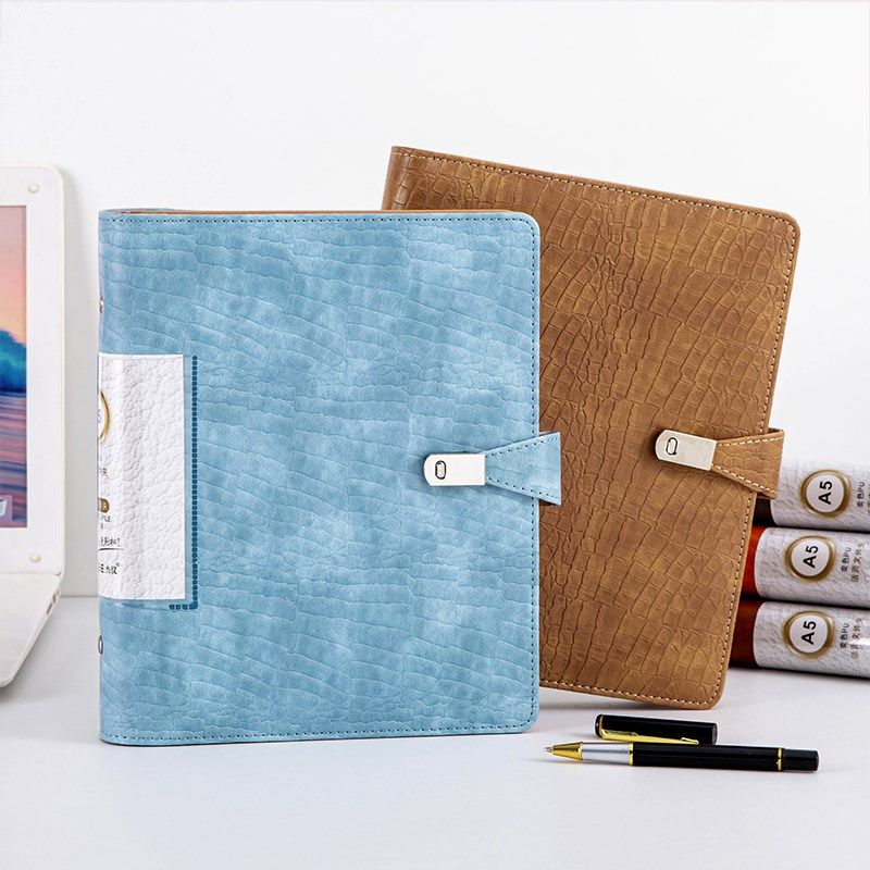 A5皮革活页夹资料册PU办公文件夹20孔打孔夹100页多层插页袋