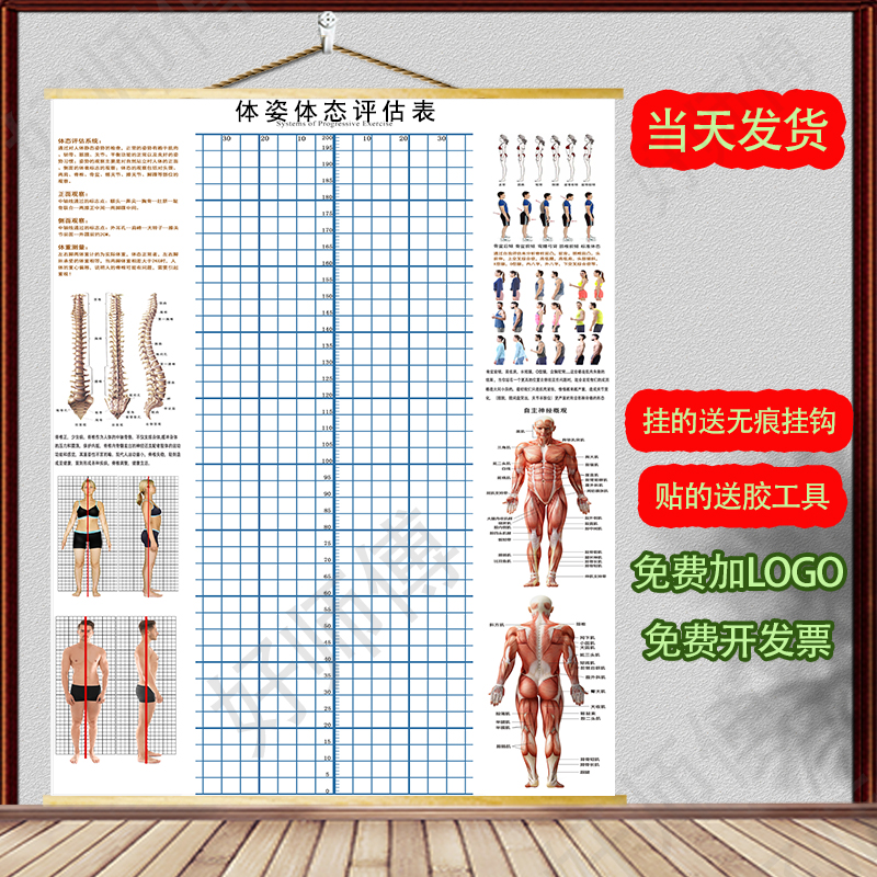 体态评估图健身房体测表瑜伽私教站姿形体脊椎修复身体装饰