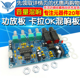 功放板模块 卡拉OK混响板 混响器 麦克风放大板 K歌设备高品质diy