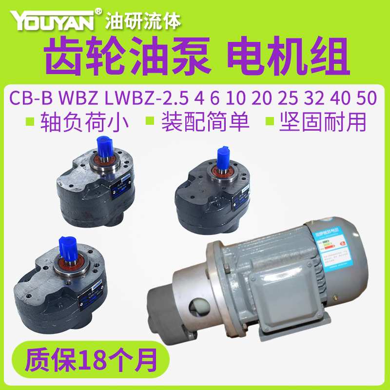 LWBZ齿轮泵CB-BM液压CB-B10油泵6/4/16/20/25/32/40/50/63/80/100
