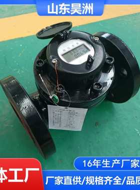 LCG-S DN50 6.4MPa 矿用高压水表 法兰式 昊洲厂家供应