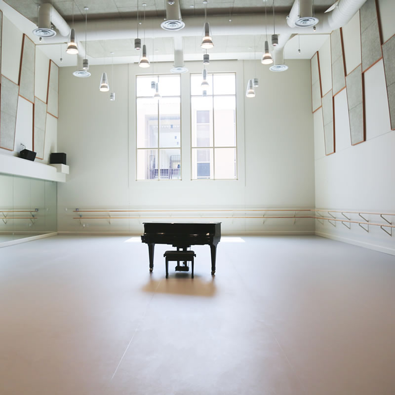 舞蹈地胶 舞蹈房舞蹈室教室幼儿园防滑运动PVC塑胶地板