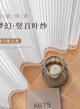 梦幻百叶纱帘透光不透人客厅白沙窗帘Eins风卧室阳台防晒窗纱飘窗